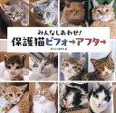 みんなしあわせ!保護猫ビフォ→アフタ→/猫びより編集部【3000円以上送料無料】