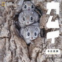 カムイ 半田菜摘写真集/半田菜摘【3000円以上送料無料】