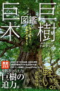 巨樹・巨木図鑑 一度は訪れたい、全国の大樹たち/小山洋二【3000円以上送料無料】