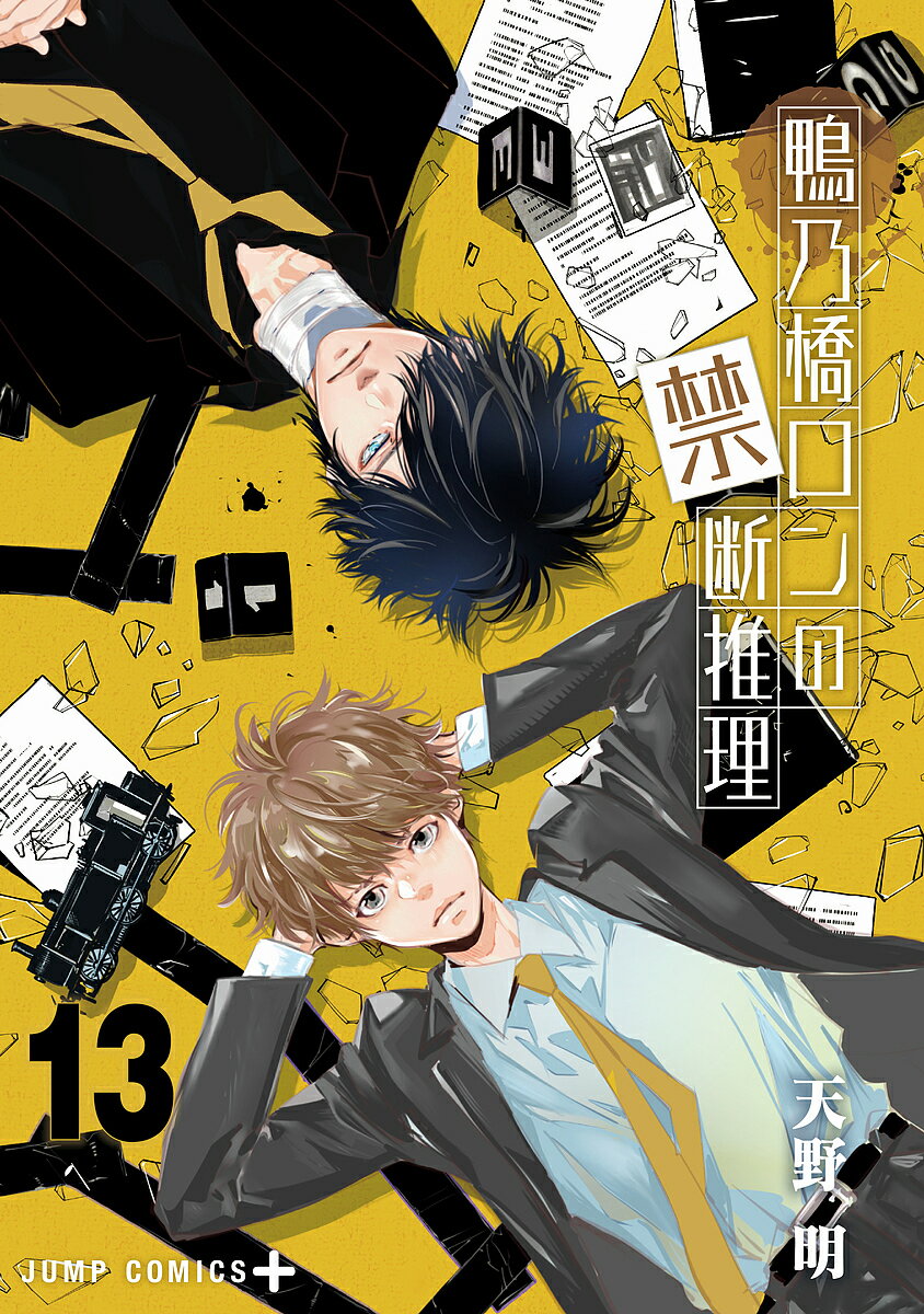 鴨乃橋ロンの禁断推理 13/天野明【3000円以上送料無料】