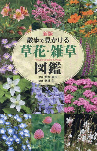 散歩で見かける草花・雑草図鑑／鈴木庸夫／高橋冬【3000円以上送料無料】