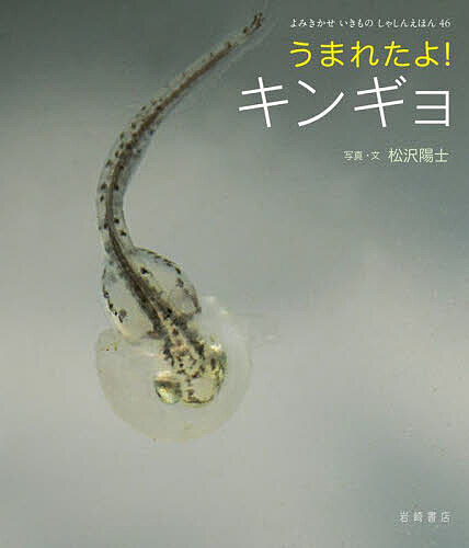 うまれたよ!キンギョ／松沢陽士【3000円以上送料無料】