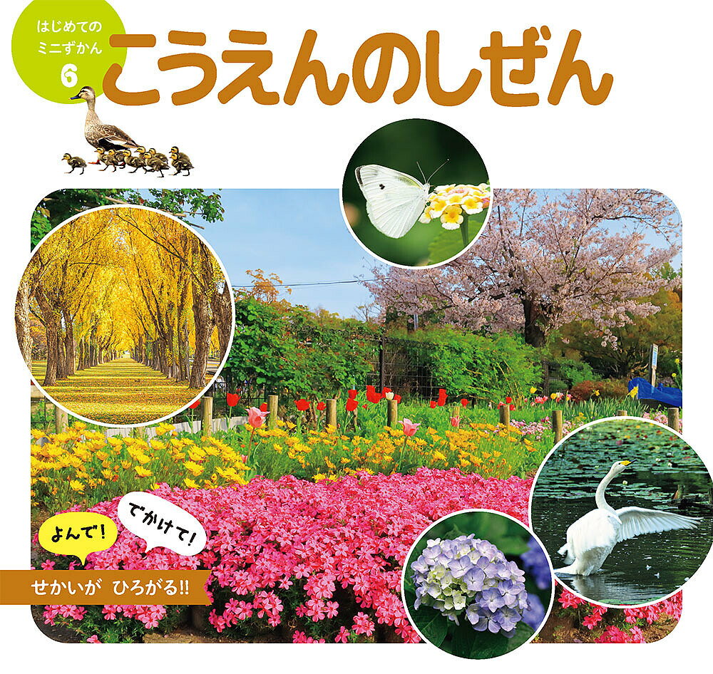 こうえんのしぜん／PIXTA／子供／絵本【3000円以上送料無料】