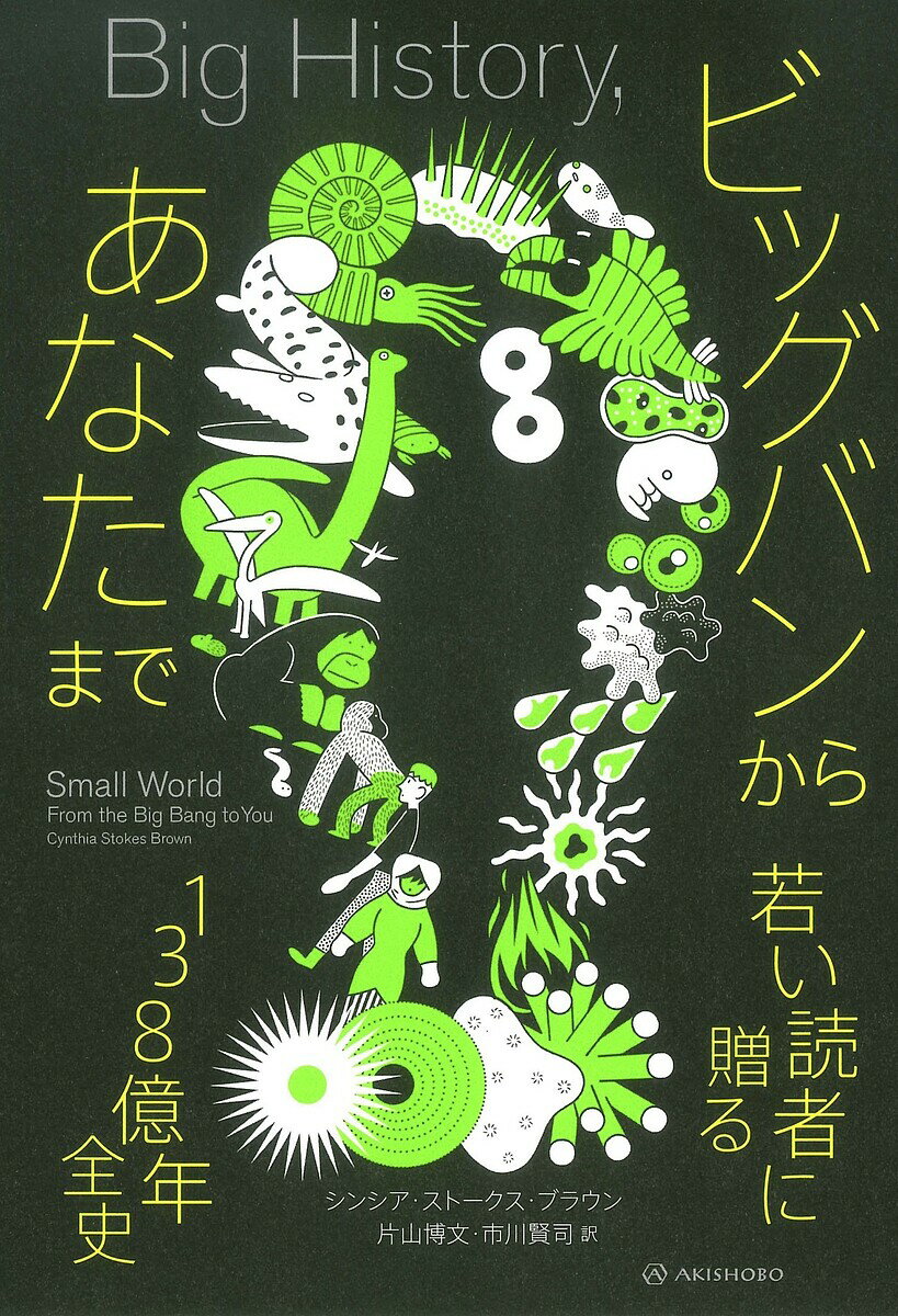 ビッグバンからあなたまで 若い読者に贈る138億年全史／シンシア・ストークス・ブラウン／片山博文／市..