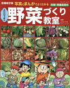 写真とまんがでよくわかるよだひできの野菜づくり教室 有機・無農薬栽培/よだひでき【3000円以上送料無料】