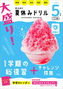 大盛り!夏休みドリル 小学5年生【3000円以上送料無料】