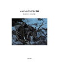 いのちのうちがわB面/石川竜一/服部文祥【3000円以上送料無料】