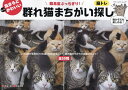 群れ猫まちがい探し/渡邉修/南幅俊輔【3000円以上送料無料】