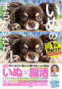 いぬのまちがいさがし ワン!ミニット1分見るだけ!記憶脳瞬間強化 チワワ大集合の巻/古賀良彦【3000円以上送料無料】