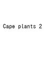 Native place the Cape plants・2 南アフリカ・ナマクアランド多肉植物自生地 Bulbs & Succulent フォト&エッセイ/松...