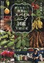 旅で出会った世界のスパイス・ハーブ図鑑 東・東南アジア編/山下智道【3000円以上送料無料】