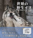 世界の野生イヌ/今泉忠明【3000円以上送料無料】