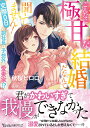 こんなに極甘な結婚だなんて聞いてません! 交際0日の副社長は予想外の愛妻家!?/秋桜ヒロロ【3000円以上送料無料】