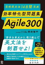 高校英文法14日間完成効率特化型問題集Agile300/岡崎修平【3000円以上送料無料】