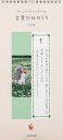 言葉の日めくり 写真編【3000円以上送料無料】