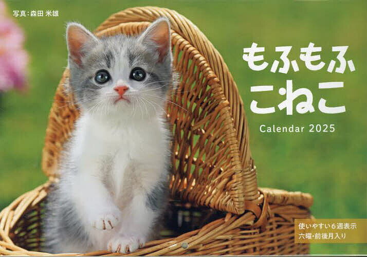 ’25 もふもふこねこCalendar【3000円以上送料無料】