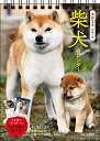 S3 柴犬 B6タテ【3000円以上送料無料】