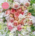 S20 EuropeanFlowerCa【3000円以上送料無料】