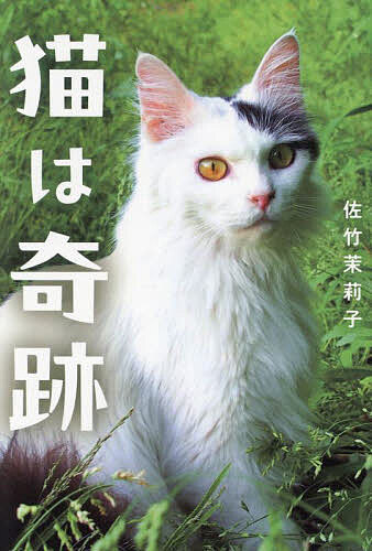 猫は奇跡／佐竹茉莉子【3000円以上送料無料】