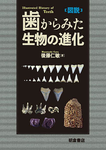 〈図説〉歯からみた生物の進化／後藤仁敏【3000円以上送料無料】