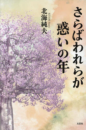 著者北海純夫(著)出版社文芸社発売日2024年10月ISBN9784286256320ページ数262Pキーワードさらばわれらがまどいのとし サラバワレラガマドイノトシ きたみ すみお キタミ スミオ9784286256320