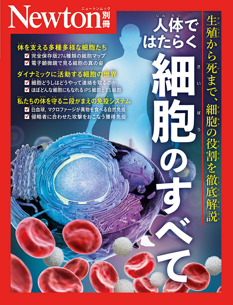 ※商品画像はイメージや仮デザインが含まれている場合があります。帯の有無など実際と異なる場合があります。出版社ニュートンプレス発売日2024年10月ISBN9784315528589ページ数175Pキーワードじんたいではたらくさいぼうのすべてぜろ ジンタイデハタラクサイボウノスベテゼロ9784315528589内容紹介 あらゆる生物の体は小さな「細胞」からできています。一つ一つの細胞の中では，タンパク質をつくる「小胞体」，エネルギーを生産する「ミトコンドリア」など，多彩な細胞小器官が協力してはたらいています。ヒトの成人の体は，こうした細胞が約40兆個集まってできていますが，これはたった一つの細胞（受精卵）が精巧なしくみで細胞分裂をくりかえしてふえたものです。これらの細胞は分化し，外見も役割もことなる細胞になっていきます。 注目が集まる体内の「防衛部隊」免疫システムではたらく細胞，幹細胞と再生医療の関係も紹介します。本書は2022年に刊行された別冊『ゼロからわかる細胞と人体』の改訂版です。新たにゲノム編集，核酸医薬についても取り上げています。ぜひ，ご覧ください。※本データはこの商品が発売された時点の情報です。