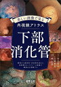 美しい画像で見る内視鏡アトラス下部消化管 腫瘍から感染性・炎症性疾患まで、典型例とピットフォール画像で鑑別点を理解する/田中信治/江崎幹宏/岡志郎【3000円以...