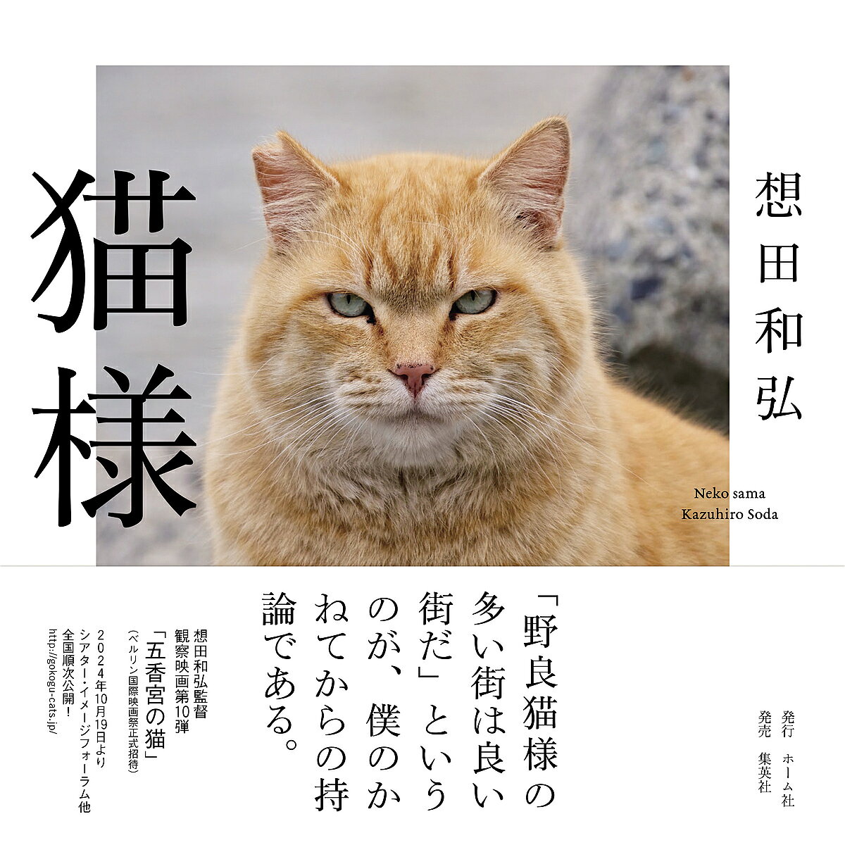 Pocketbooks （Essay） - 【3千円以上送料無料】猫様／想田和弘