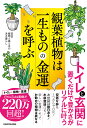 観葉植物は一生ものの金運を呼ぶ/植物と風と水のある暮らし【3000円以上送料無料】