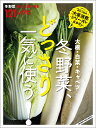 冬野菜、どっさり一気に使う! 大根・白菜・キャベツ 冬野菜おいしく食べきる121レシピ/荻原悦子/レシピ【3000円以上送料無料】