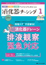 消化器ナーシング 外科内科内視鏡ケアがひろがる・好きになる 第30巻1号(2025-1)【3000円以上送料無料】