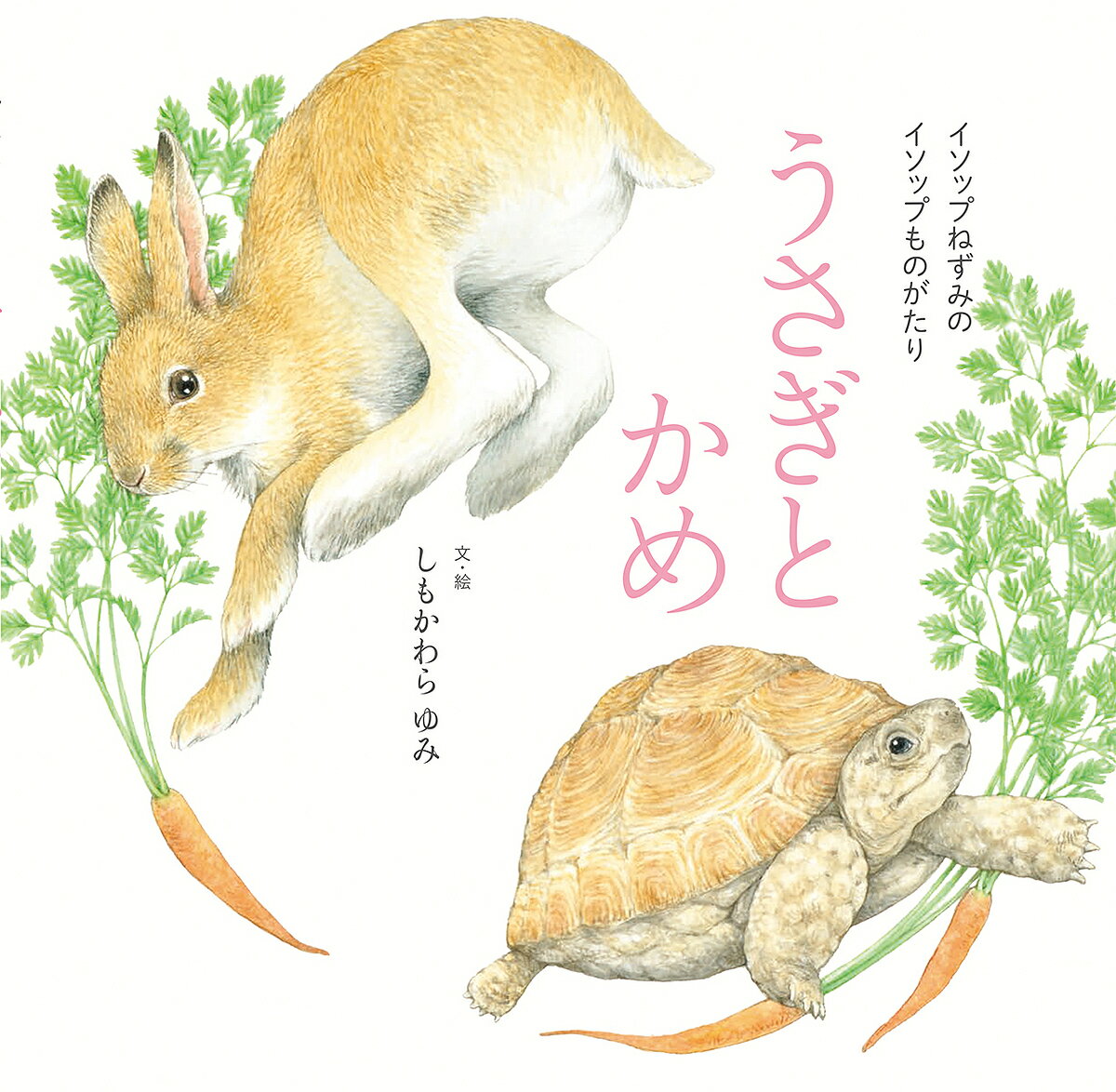 楽天市場】うさぎと亀の通販 楽天市場】うさぎと亀の通販