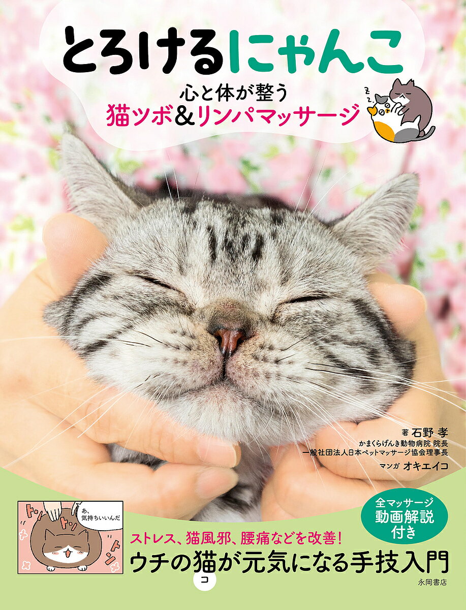 �Ȥ�����ˤ�� �����Τ�����ǭ�ĥ�&���ѥޥå������������������������3000�߰ʾ�����̵����