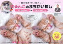 にゃんこのまちがい探し ネコねんね&うまそうだニャ/篠原菊紀【3000円以上送料無料】
