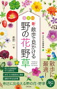 新・散歩で見かける野の花・野草 春 夏 秋・冬/金田一【3000円以上送料無料】