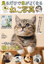 見るだけで目がよくなる幸せねこ写真/日比野佐和子/林田康隆【3000円以上送料無料】