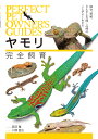 ヤモリ完全飼育 飼育、繁殖、さまざまな種・品種のことがよくわかる/西沢雅/川添宣広【3000円以上送料無料】