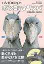 ハシビロコウのボンゴとマリンバ PHOTO BOOK/南幅俊輔/神戸どうぶつ王国【3000円以上送料無料】