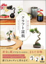 はじめてのクラフト盆栽/日本クラフト盆栽作家協会【3000円以上送料無料】