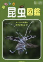 おもしろ昆虫図鑑/小野展嗣/小堀文彦【3000円以上送料無料】