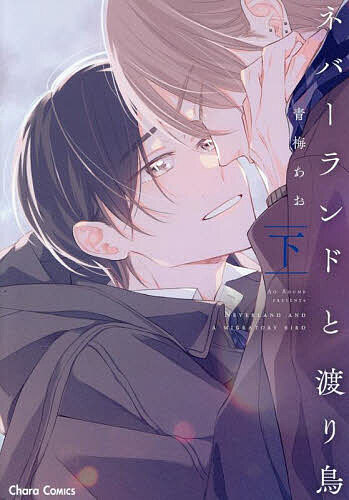Bee Boy Comics - 【3千円以上送料無料】ネバーランドと渡り鳥 下