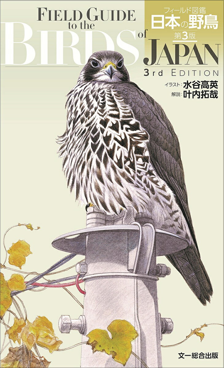 【3千円以上送料無料】フィールド図鑑日本の野鳥／水谷高英／叶内拓哉