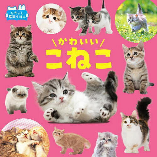 かわいいこねこ／福田豊文／子供／絵本【3000円以上送料無料】