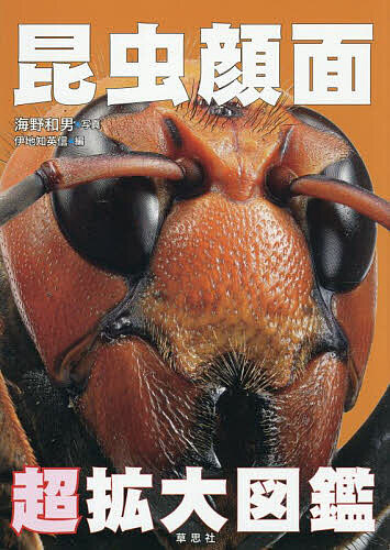 【3千円以上送料無料】昆虫顔面超拡大図鑑／海野和男／伊地知英信