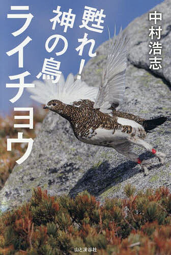 甦れ!神の鳥ライチョウ／中村浩志【3000円以上送料無料】