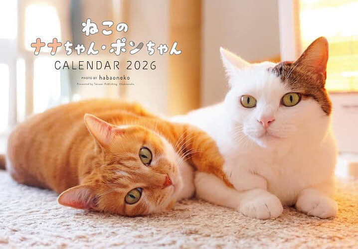 ��26�ͤ��Υʥʤ���󡦥ݥ����󥫥���3000�߰ʾ�����̵����