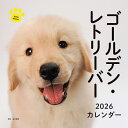 2026カレンダーゴールデン・レトリーバ【3000円以上送料無料】