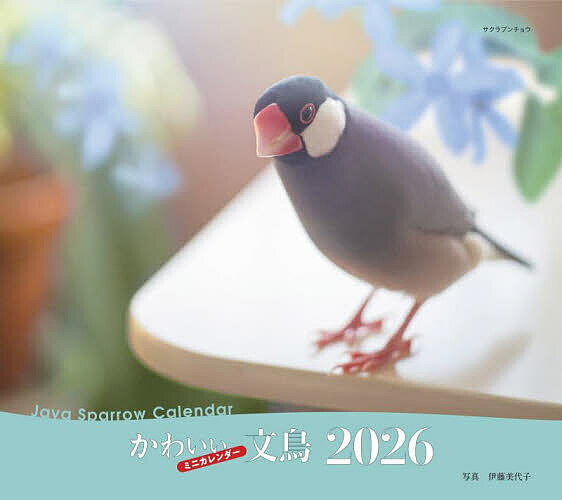 2026ミニカレンダーかわいい文鳥【3000円以上送料無料】