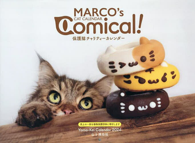 26ݸǭƥMAR3000߰ʾ̵