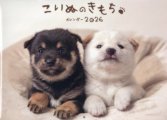 こいぬのきもちカレンダー2026【3000円以上送料無料】
